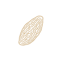 Tonka Bean