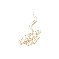 Oud