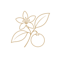 Orange Blossom